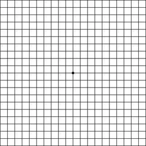 A white grid paper with a small black dot in the center
