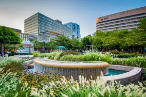 A water fountain surrounded by trees and flowers is in the middle of a park with buildings and trees in the background