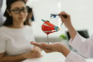An optometrist demonstrates an eye model to a patient while another patient looks on.