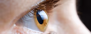 Close-up of a human eye with brown iris and long eyelashes.