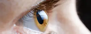 Close-up of a human eye with brown iris and long eyelashes.